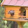 Отель Ferienwohnung Im Harz Haus Bruns, фото 7