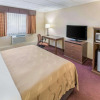 Отель Quality Inn & Suites Downtown, фото 5