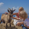 Отель B&B Apart Hotel Pastrovski Konak, фото 25
