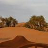 Отель Bivouac Rêve Sahara-Dar Azawad, фото 26
