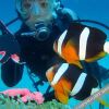 Отель Diving & Pension RIKI в Сетучи