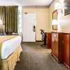 Отель Quality Inn Airport - Cruise Port, фото 7
