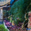Отель Yun Qie Man Xin hua Lu Fang Inn, фото 1