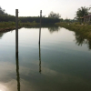 Отель Home Beach Village Resort, фото 10