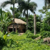 Отель Dominican Jungle Resort, фото 8