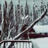 Отель Feathertop Alpine Lodge, фото 20