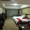 Отель Shijiazhuang Binli Hotel, фото 3