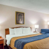 Отель Comfort Inn, фото 5