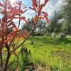 Отель Green House between Etna and the sea, фото 14