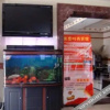 Отель Meidu Fashion Hotel, фото 4