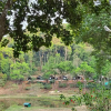 Отель Three Hills Coorg, фото 15