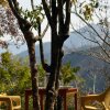 Отель Auranya The Mystical Himalayan Retreat, фото 19