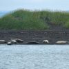 Отель Neðra-Vatnshorn, фото 34