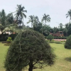 Отель Chanakya BNR Hotel Puri, фото 24