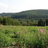 Отель Reclusive Hamlet Home in Waimes Near Forest, фото 24
