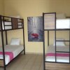 Отель Hostel Hostalife, фото 18
