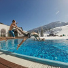 Отель Pension Hubertushof Beim Römerbad, фото 10