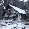 Отель Mountain Haven Inn в Пайнтоп-Лейксайд