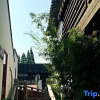Отель Shanghai Zhujiajiao Mansion, фото 11