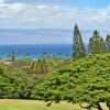 Отель Kapalua Golf S 16t1 1 Bedroom Condo, фото 20
