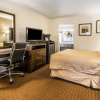 Отель Quality Inn & Suites near Panama City Beach, фото 5