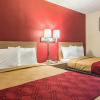 Отель Econo Lodge Fort Payne, фото 6