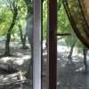 Отель Marine Bebo Bed and Breakfast, фото 1