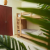 Отель Pure Sand Luxury Hostel, фото 5