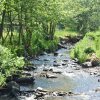 Отель Cozy Holiday Home in Gedinne near Forest, фото 29