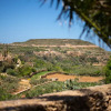 Отель Sinjura - Xaghra Holiday Home, фото 22