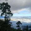 Отель The Ranikhet Continental, фото 11