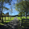 Отель Height of Dunedin, фото 5