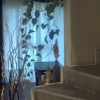 Отель B&B Villa Greta, фото 5