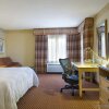 Отель Hilton Garden Inn - Flagstaff, фото 6