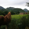 Отель Casas Rurales Entrecastaños, фото 8