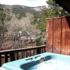 Отель Fawn Valley Inn: 255 1 Bedroom Condo, фото 5