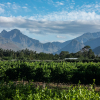 Отель Lynx Wine Estate, фото 11