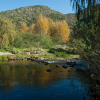 Отель Old Mill Lodge, Working Ostrich Farm & Restaurant, Oudtshoorn, фото 37