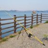 Отель Taean Solbitbada Pension, фото 14