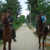 Отель Hungarian Country Camping - Tranquil Pines Camping and Caravan Site, фото 12