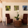Отель IN LAIN Hotel Cadonau, фото 15