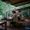 Отель Qingcheng Mountain is not staying. Jiuzhi Forest Private Tang Homestay, фото 13
