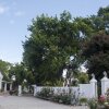 Отель Green Olive Guesthouse, фото 1