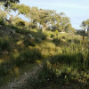 Отель Monte da Fonte Santa de São Luís, фото 8