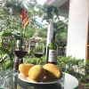 Отель Anbang Memory Homestay, фото 33
