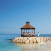 Отель Secrets Wild Orchid Montego Bay - Luxury - Adults Only - All Inclusive, фото 17