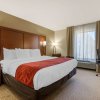 Отель Comfort Inn & Suites Macon West, фото 3