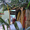 Отель Ecotrip Hostel, фото 7