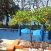 Отель Las Brisas Ixtapa, фото 17