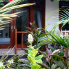 Отель Gili Smile Homestay, фото 13